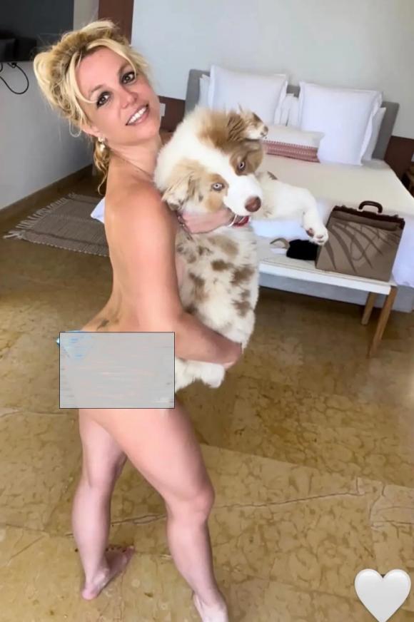 Britney Spears kết hôn với Sam Asghari, công chúa nhạc pop, sao âu mỹ