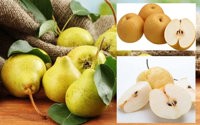 Một số món ăn bổ dưỡng được chế biến từ quả lê